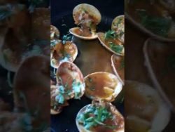 concha fina a la marinera #short #shotsvideo #receta #gourmet
