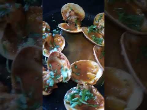 concha fina a la marinera #short #shotsvideo #receta #gourmet