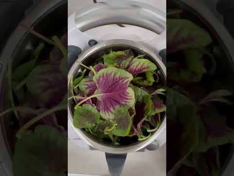 Cooking spinach in 5min #shorts #thermomix #healthyfood #cookidoo