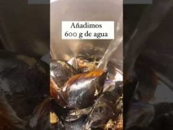 ‼️CÓMO LIMPIAR LOS MEJILLONES CON THERMOMIX ‼️