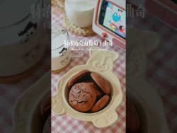 小美殺手｜Thermomix 美善品 輕鬆做出 巧克力葡萄乾曲奇饼 Chocolate Soft Cookies｜feat by Puy Yee