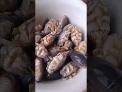 🚨 PULGAS DE MAR 🚨😲 #shorts #amazing #fantastic #facil #delicioso #recipe #receta #sorprende