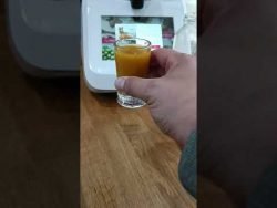 Ingwer Shot selbst gemacht (Monsieur Cuisine Smart)