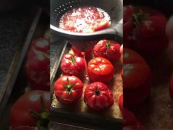 Les tomates farcies au Thermomix