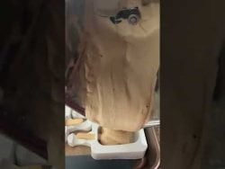 Paletitas cremosas de café con Kahlúa en #thermomix