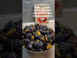 #plumjam #cookingchannel #thermomix #thermomixrecipes #tm6 #prune #gem #marmelade