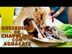 QUESADILLA de CHAPULINES con aguacate, salsa macha y queso Oaxaca #foodtrip #receta #shorts