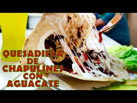 QUESADILLA de CHAPULINES con aguacate, salsa macha y queso Oaxaca #foodtrip #receta #shorts