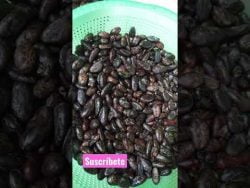 #Receta de cómo hacer #Chocolate con #Cacao. Colaboración de Carmen Flores #shorts