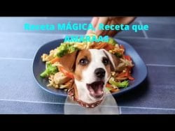 #Receta MÁGICA de pasta para que hagas en UN MINUTO 😍💕