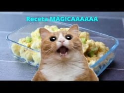 #Receta mágica en 2 minutos de coliflor 😍😍 La amarás