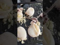 #reels #receta #chipiron #plancha #sunday #like #pleasesubscribe