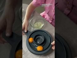 Thermomix TM6 Tricks 美善品贴士｜分蛋器 Egg Separator