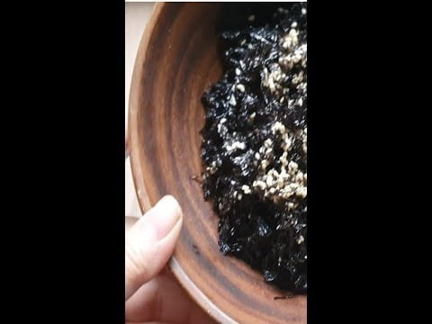 @All About Alicia Korean Seaweed with Thermomix 美善品做韩式脆脆芝麻紫菜 #shorts