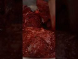 Cochinita Pibil (todo el proceso) #shorts #cochinitapibil #mexico #receta #recetamexicana