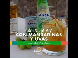 Cóctel de gin con mandarinas #CeroK 😋 Ingredientes en la descripción 👉 #Stevia #Receta #Iansa