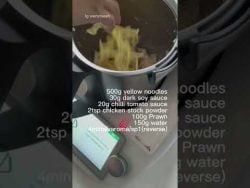 嘛嘛炒面 mamak mee I Thermomix 美善品 TM6/TM5