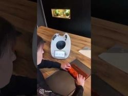 Halloween thermomix TM6 fb@aukats insta le.kats conseiller thermomix Belgique