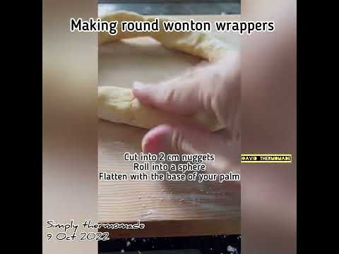 How to make wonton wrappers with Thermomix TM6