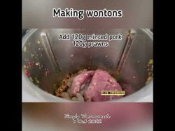 Making wontons with Thermomix Tm6