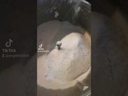 Mohn-Joghurtkuchen🍰 Wenn du dich für den Thermomix interessiert dann melde dich unter 06765712346 🥰