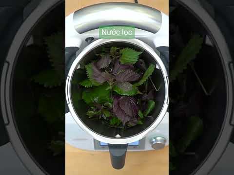 Nấu Trà tía tô Thanh nhiệt Thải độc cùng Robot Thermomix