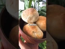 PAN CASERO 🥖 – RECETA RICA Y FACIL #shorts #shortvideo #pancasero #recetafacil #receta #sh ...