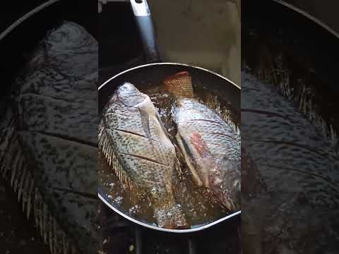#Pescado #frito #mojarra #tilapia #marisco #rio #shorts #receta #cocina #comida #alimento #especias
