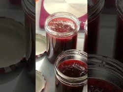 Pflaumen – Marmelade – Monsieur Cuisine in 12 Min. fertig.