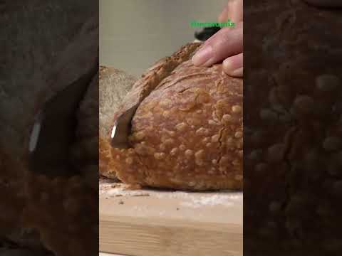 Thermomix® Singapore – Best Time to get your Thermomix®!