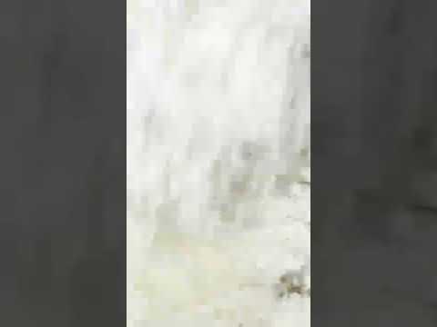 cebollin tempurizado #tempura #tempurizado #cebollin #receta #