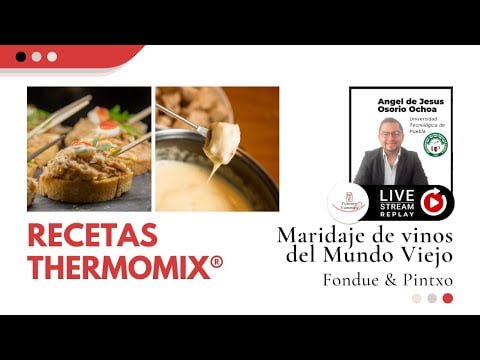 MARIDAJE: Vinos del Mundo Viejo y Recetas Thermomix®