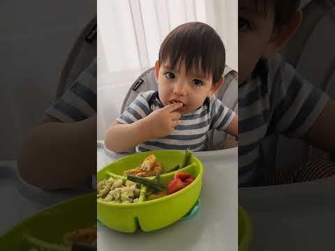 Que Come Mi Bebe En 1 Día? #Blw #BabyFood #BeBe #Ideas #Receta