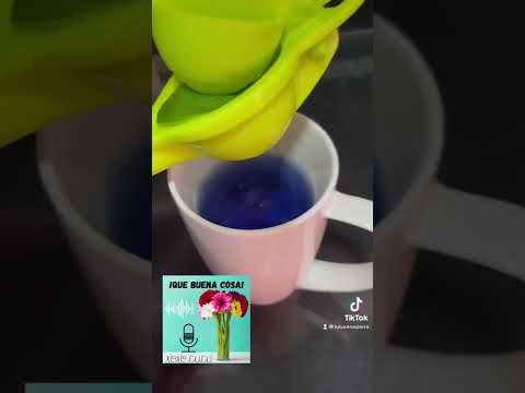 Receta para curar la gastritis