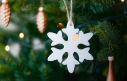 Planifica tu menú de Navidad