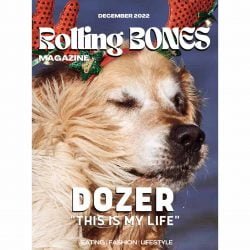 Entrevista: La vida de Dozer 2022