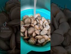 Almejas a la marinera en #thermomix