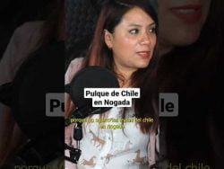 Así se prepara el pulque de chile en nogada #podcast #receta #shorts #shortsfeed #pulque #nogada