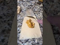 Buffalo Chicken Tamales 🫔 #freddsters #foodie #cooking #recipe #receta #fusion #buffalo #chicken