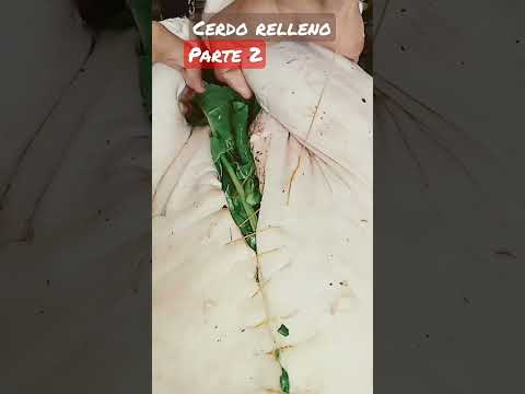 🤶 CERDO RELLENO 🤶 NAVIDAD #shorts #fantastic #receta #delicioso #christmas #navidad