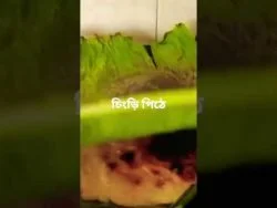 #lifeofdreams #pleasesubscribe #shorts #চিংড়ি পিঠে #mycook