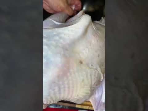 Pavo al horno #pavo #horno #navidad #receta #recetanavideña