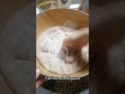 recette au Thermomix du pain à la farine intégrale. 👌😋