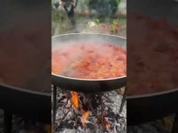 Suxhuk me veze #gatime #gatuajshendetshem #receta #gatimeteshpejta #kuzhina #kuzhinashqiptare #recep