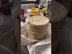 Taquitos de bisteck en la fonda del Shavo #humor #receta #cdmx #shavos
