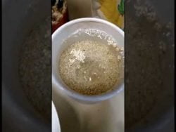 Atole de Quinoa y Avena #shorts #receta