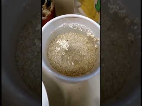 Atole de Quinoa y Avena #shorts #receta