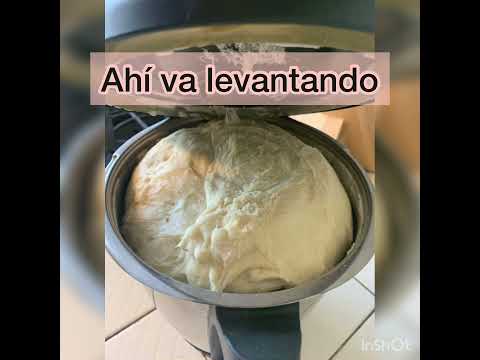 Bollos para la cena en Thermomix, leudando.. ando.