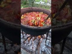 Gjelle me speca #receta #gatime #gatuajshendetshem #kuzhina #kuzhinashqiptare #jetoshendetshem