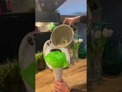 Panna cotta au saumon fumé et biscuit au parmesan au thermomix
